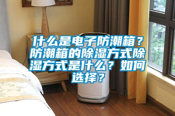 什么是電子防潮箱？防潮箱的除濕方式除濕方式是什么？如何選擇？