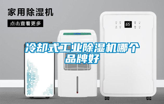 冷卻式工業(yè)除濕機哪個品牌好