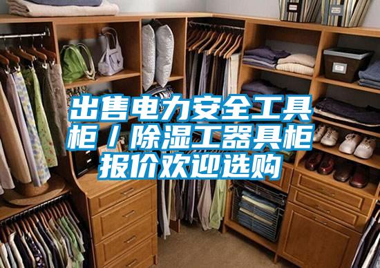 出售電力安全工具柜／除濕工器具柜報(bào)價(jià)歡迎選購(gòu)