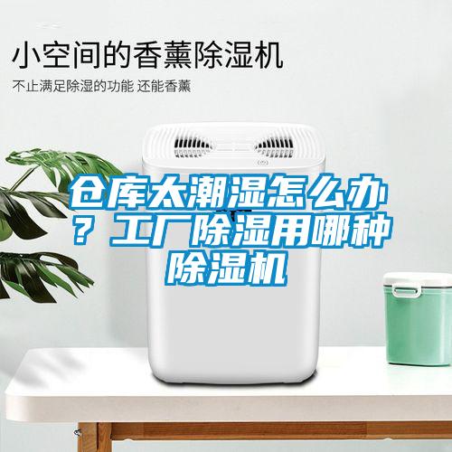 倉(cāng)庫(kù)太潮濕怎么辦？工廠除濕用哪種除濕機(jī)