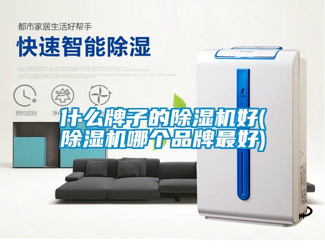 什么牌子的除濕機好(除濕機哪個品牌最好)