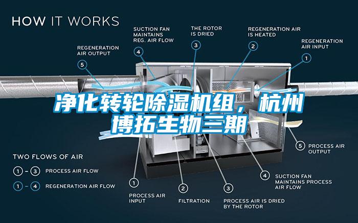 凈化轉(zhuǎn)輪除濕機(jī)組，杭州博拓生物三期