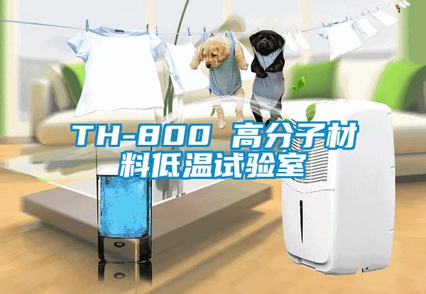 TH-800 高分子材料低溫試驗(yàn)室