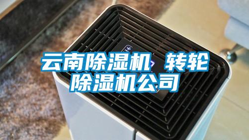 云南除濕機 轉(zhuǎn)輪除濕機公司