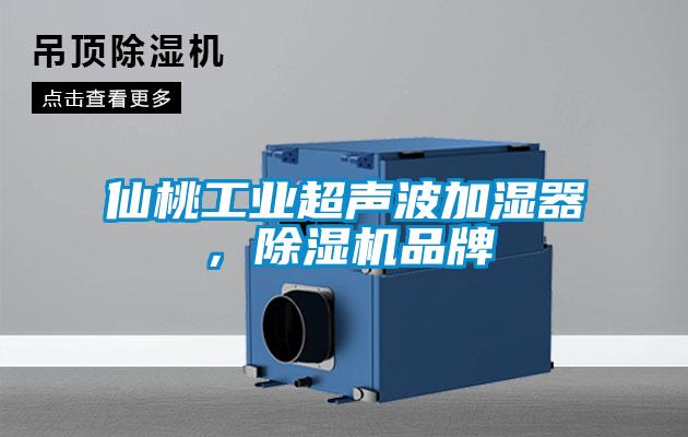 仙桃工業(yè)超聲波加濕器，除濕機品牌