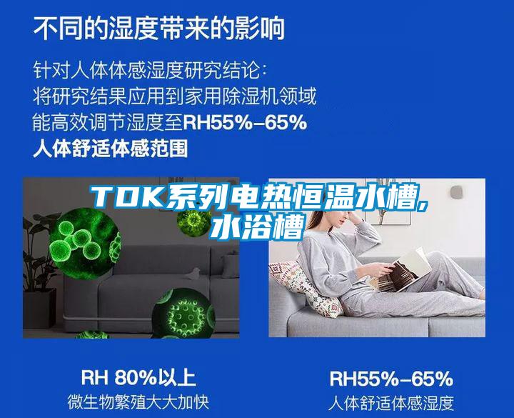 TDK系列電熱恒溫水槽,水浴槽