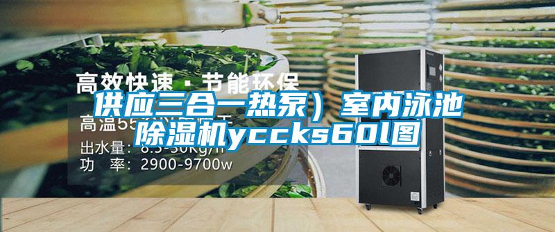 供應(yīng)三合一熱泵）室內(nèi)泳池除濕機yccks60l圖