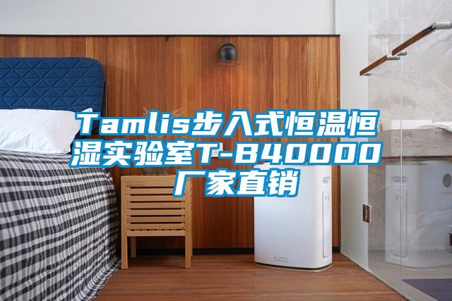 Tamlis步入式恒溫恒濕實驗室T-B40000 廠家直銷