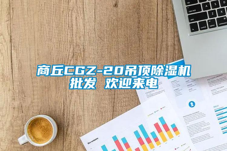 商丘CGZ-20吊頂除濕機(jī)批發(fā) 歡迎來電