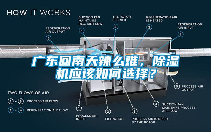 廣東回南天辣么難，除濕機(jī)應(yīng)該如何選擇？