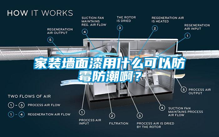 家裝墻面漆用什么可以防霉防潮?。?></div>
								<div   id=