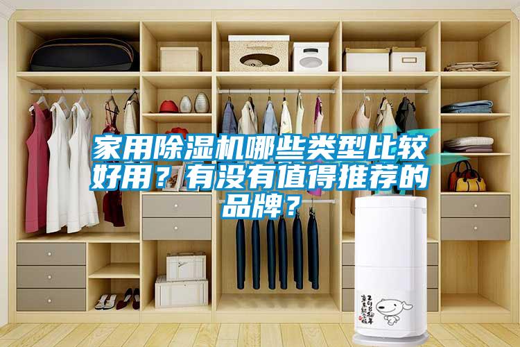 家用除濕機哪些類型比較好用？有沒有值得推薦的品牌？