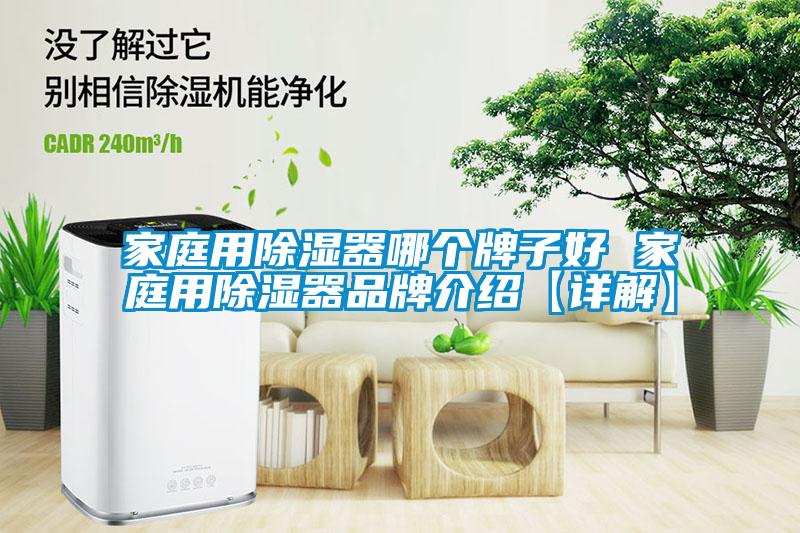 家庭用除濕器哪個牌子好 家庭用除濕器品牌介紹【詳解】