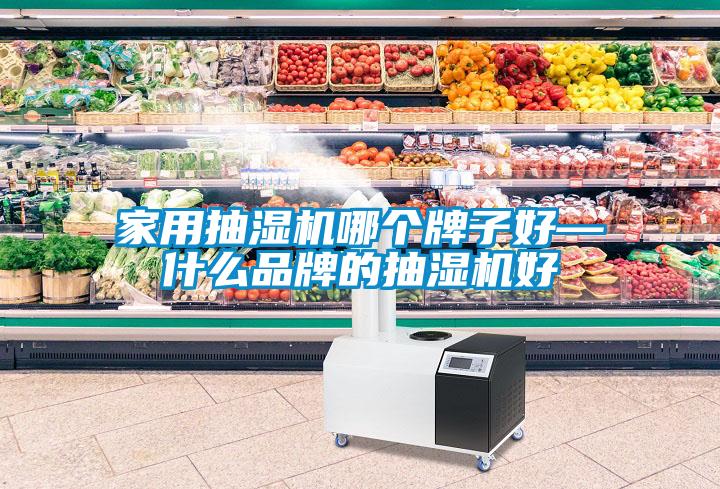 家用抽濕機(jī)哪個(gè)牌子好—什么品牌的抽濕機(jī)好