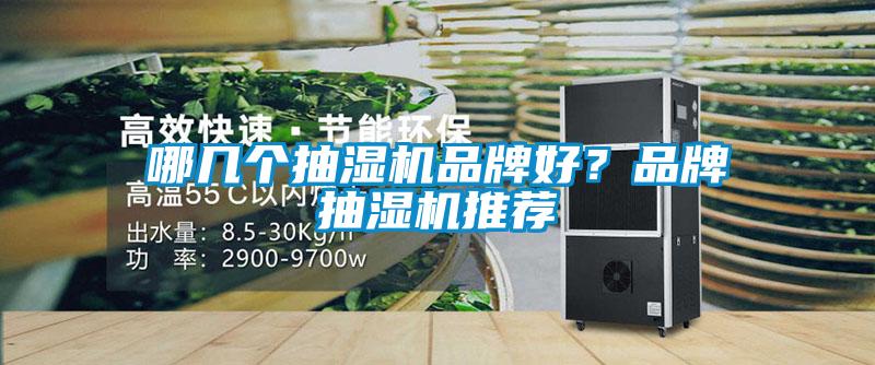 哪幾個抽濕機品牌好？品牌抽濕機推薦