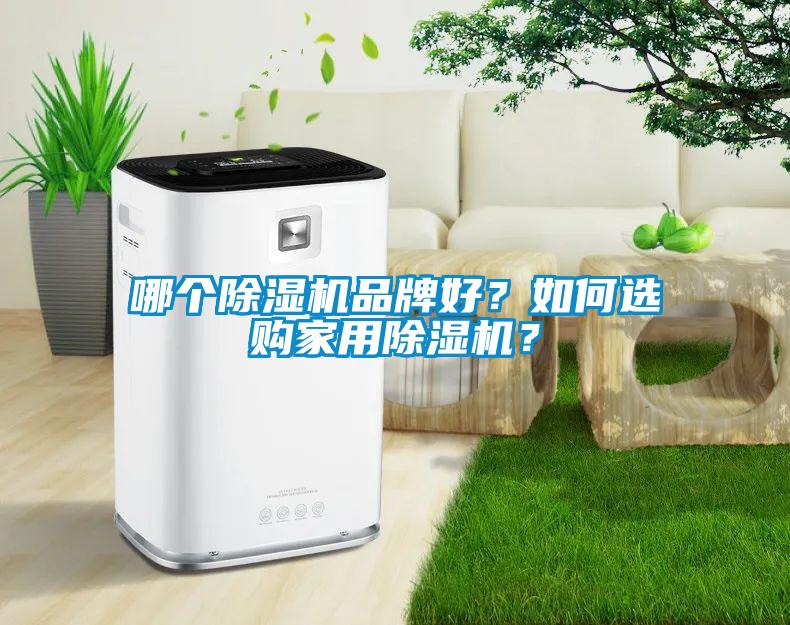 哪個除濕機品牌好？如何選購家用除濕機？