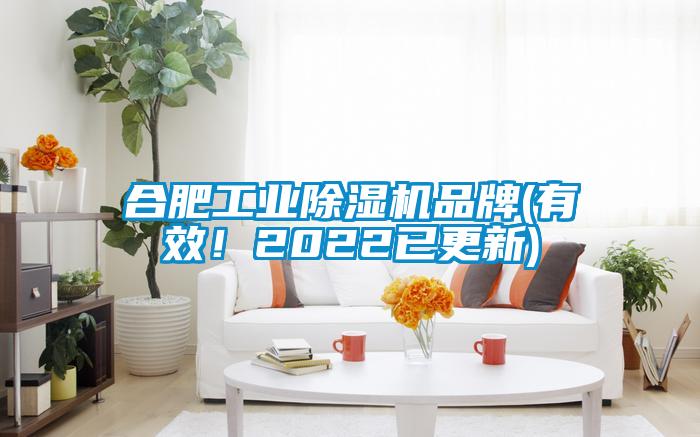 合肥工業(yè)除濕機(jī)品牌(有效！2022已更新)