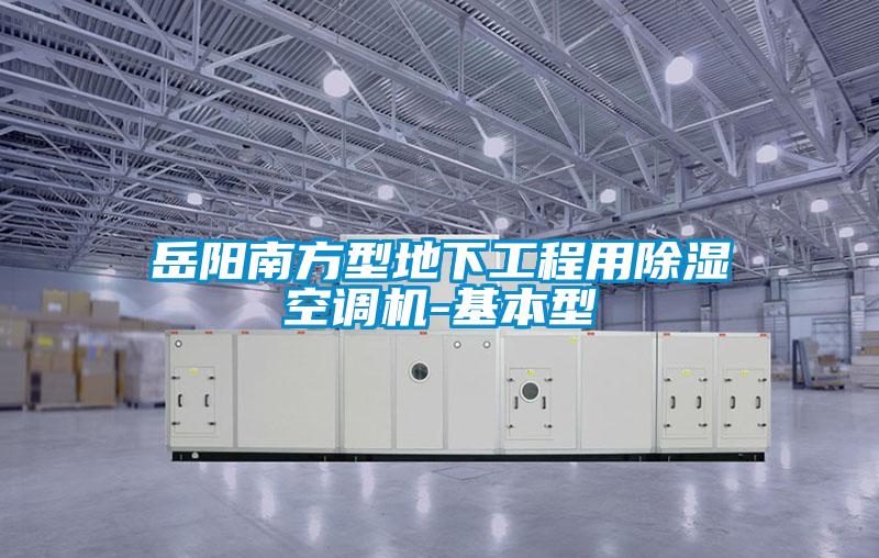 岳陽南方型地下工程用除濕空調(diào)機(jī)-基本型