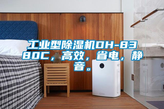 工業(yè)型除濕機DH-8380C，高效，省電，靜音。