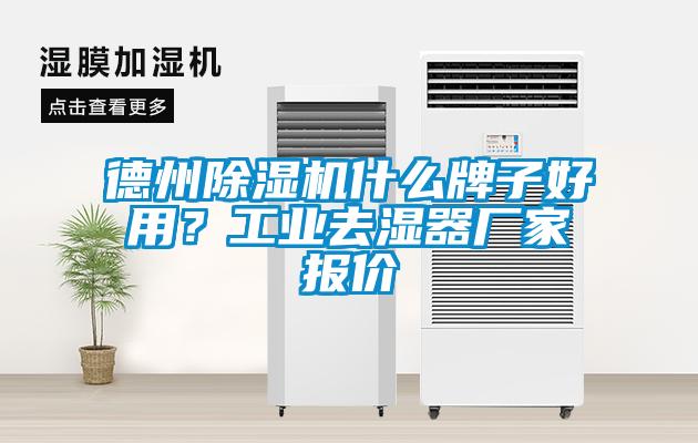 德州除濕機(jī)什么牌子好用？工業(yè)去濕器廠家報價