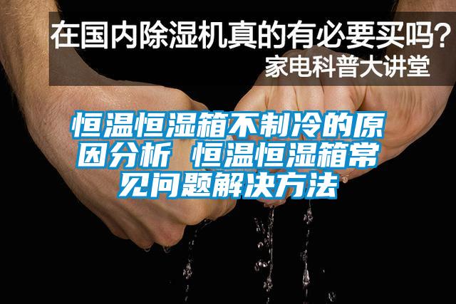 恒溫恒濕箱不制冷的原因分析 恒溫恒濕箱常見問(wèn)題解決方法