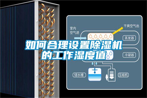 如何合理設(shè)置除濕機(jī)的工作濕度值