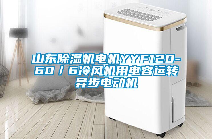 山東除濕機(jī)電機(jī)YYF120-60／6冷風(fēng)機(jī)用電容運(yùn)轉(zhuǎn)異步電動機(jī)