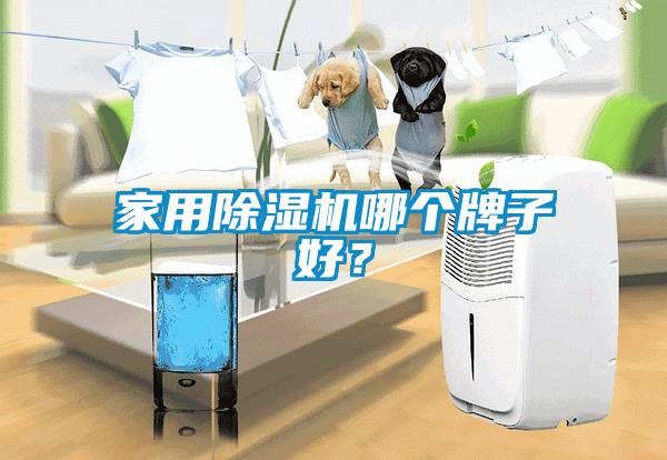 家用除濕機哪個牌子好？