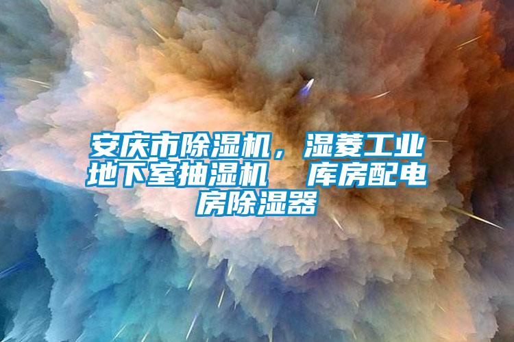 安慶市除濕機，濕菱工業(yè)地下室抽濕機  庫房配電房除濕器