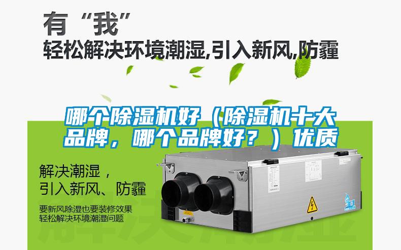 哪個除濕機好（除濕機十大品牌，哪個品牌好？）優(yōu)質(zhì)