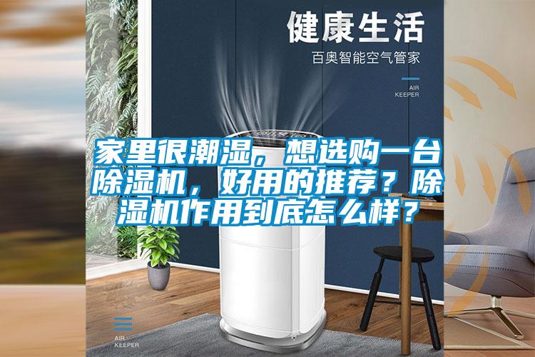 家里很潮濕，想選購(gòu)一臺(tái)除濕機(jī)，好用的推薦？除濕機(jī)作用到底怎么樣？