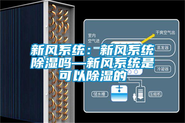 新風(fēng)系統(tǒng)：新風(fēng)系統(tǒng)除濕嗎—新風(fēng)系統(tǒng)是可以除濕的