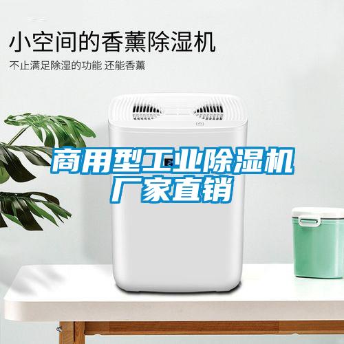 商用型工業(yè)除濕機廠家直銷