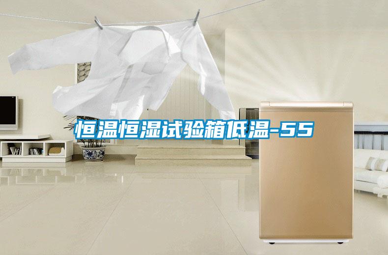 恒溫恒濕試驗箱低溫-55℃