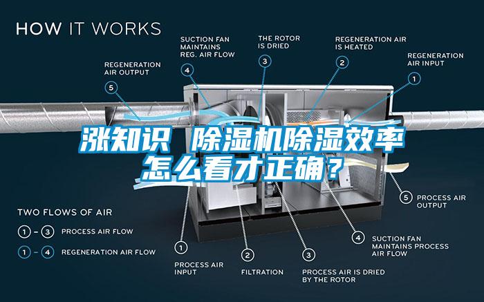 漲知識 除濕機除濕效率怎么看才正確？