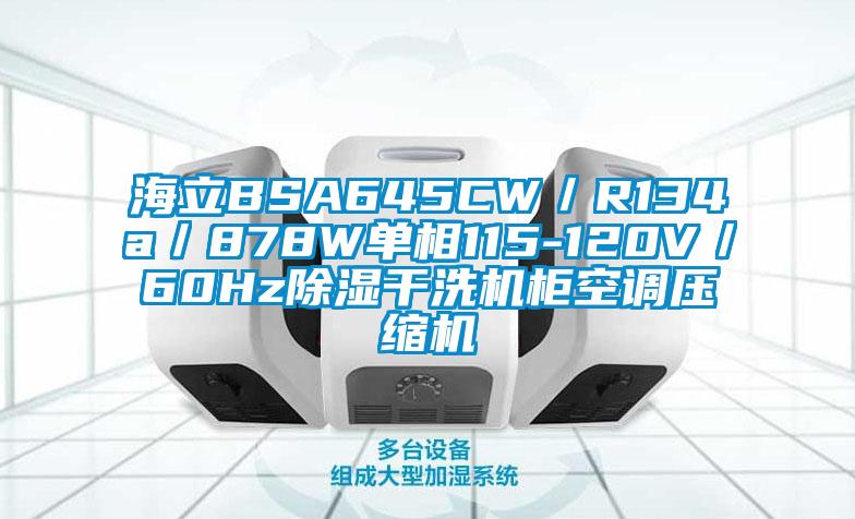 海立BSA645CW／R134a／878W單相115-120V／60Hz除濕干洗機(jī)柜空調(diào)壓縮機(jī)