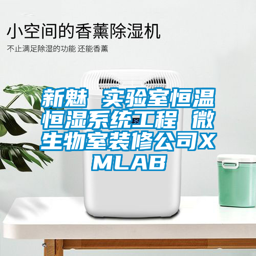 新魅 實驗室恒溫恒濕系統(tǒng)工程 微生物室裝修公司XMLAB