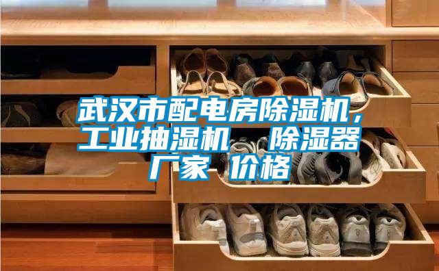 武漢市配電房除濕機，工業(yè)抽濕機  除濕器廠家 價格