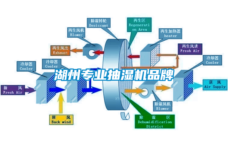 湖州專(zhuān)業(yè)抽濕機(jī)品牌