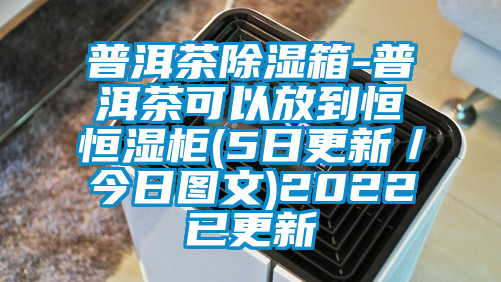 普洱茶除濕箱-普洱茶可以放到恒恒濕柜(5日更新／今日?qǐng)D文)2022已更新