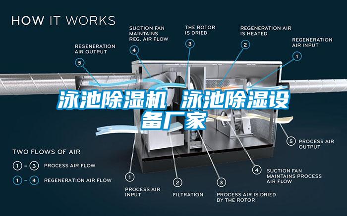 泳池除濕機(jī) 泳池除濕設(shè)備廠家