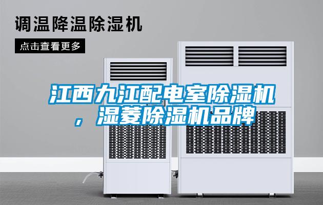 江西九江配電室除濕機(jī)，濕菱除濕機(jī)品牌