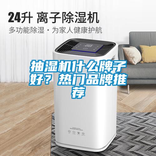 抽濕機(jī)什么牌子好？熱門品牌推薦