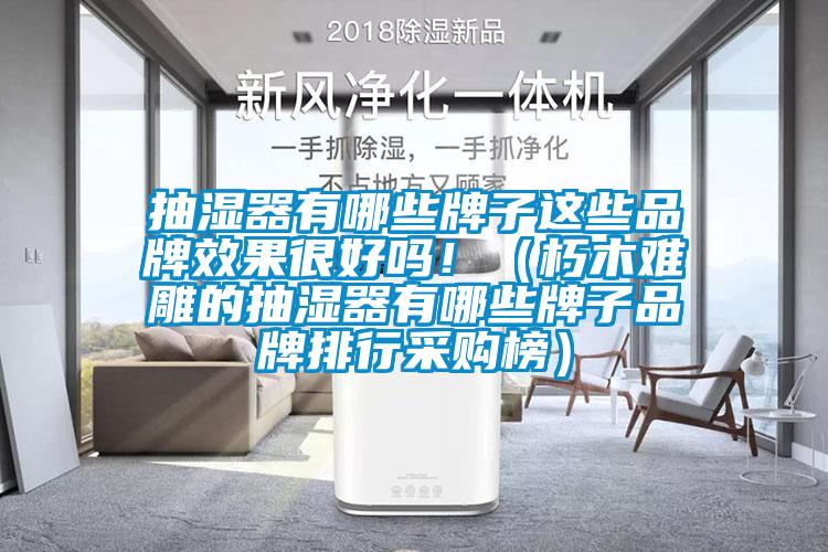 抽濕器有哪些牌子這些品牌效果很好嗎?。ㄐ嗄倦y雕的抽濕器有哪些牌子品牌排行采購榜）