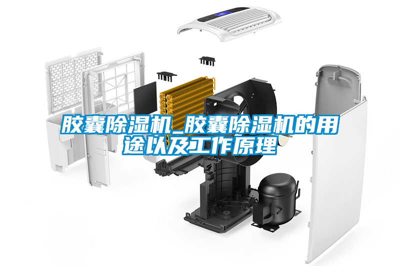 膠囊除濕機(jī)_膠囊除濕機(jī)的用途以及工作原理