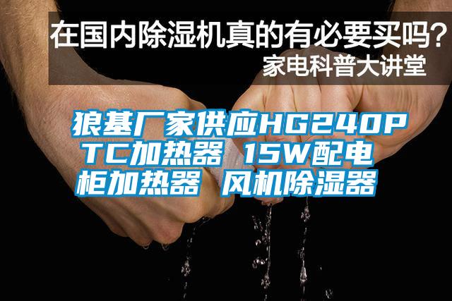 狼基廠家供應(yīng)HG240PTC加熱器 15W配電柜加熱器 風(fēng)機(jī)除濕器