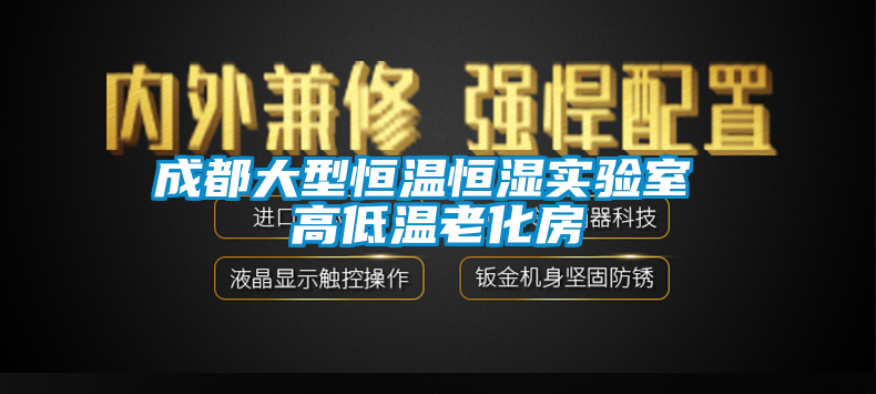 成都大型恒溫恒濕實(shí)驗(yàn)室 高低溫老化房