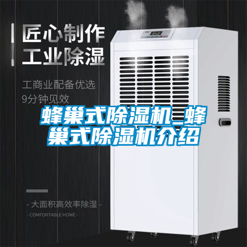 蜂巢式除濕機(jī)_蜂巢式除濕機(jī)介紹