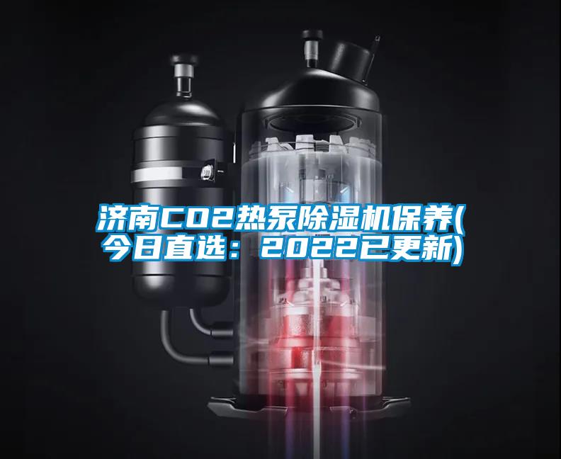 濟(jì)南CO2熱泵除濕機(jī)保養(yǎng)(今日直選：2022已更新)