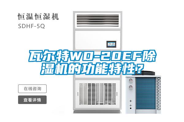 瓦爾特WD-20EF除濕機(jī)的功能特性？